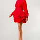 Merry Go Around Ruffle long sleeve dress